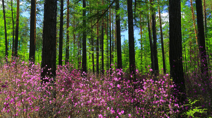 �ž����־�ɫ