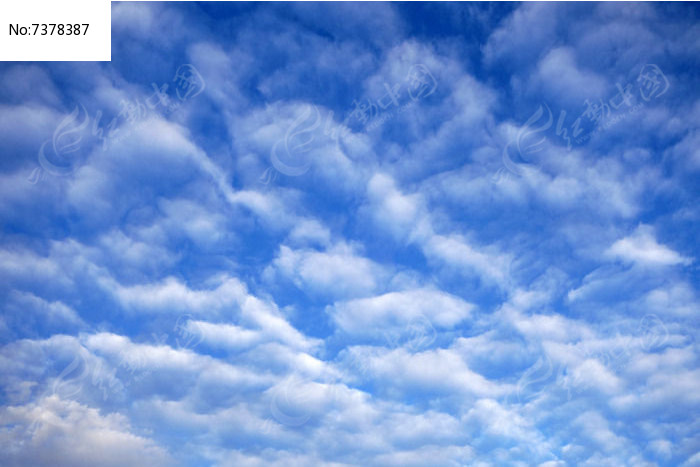 ������ͼƬ