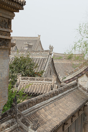 ���н���Ⱥ