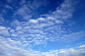 ������Ʒ��