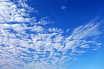 �����ƶ�