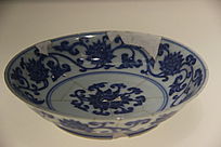 �����໨��֦���໨����