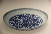 �����໨��֦��������