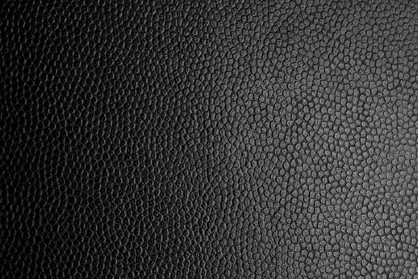 Ƥ�������ز�