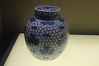 �໨��÷�ƹ�