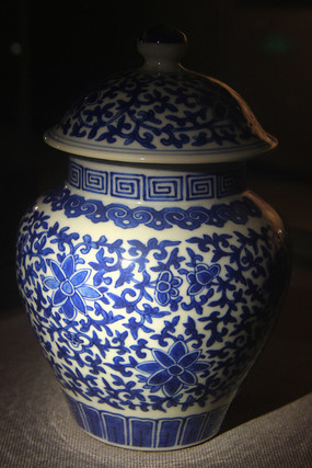 �໨��֦���Ƹ�̳