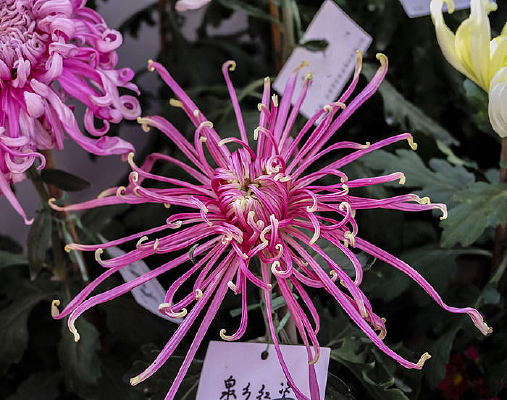 Ȫ����˾ջ�