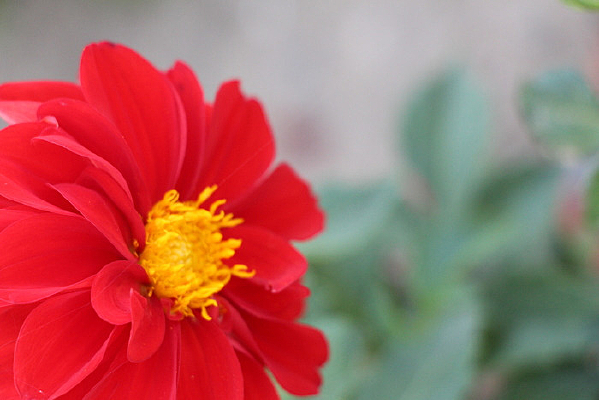 ʢ���Ĵ�����