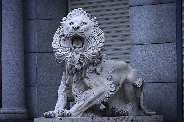 ʯ���Ŵ�ڵ�ʨ��