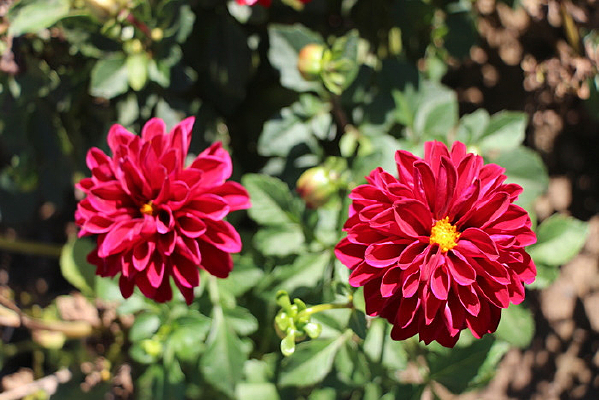 һ�Ի��Ĵ�����