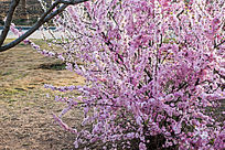 һ��ӣ����