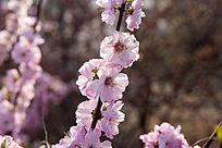 ӣ������