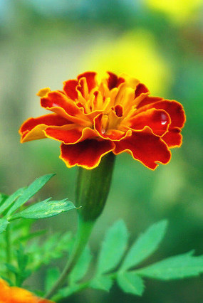 ��ȸ�����پ�ֲ��