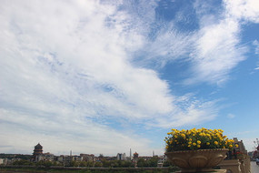 ������ƻ�̳