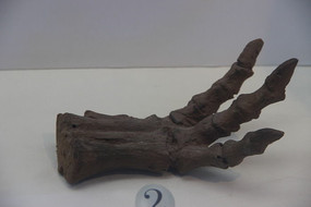 �Ե���צ�ǻ�ʯ