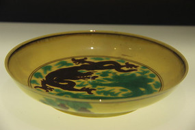 ����Ƶ�����������