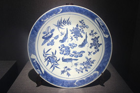 ����໨��������