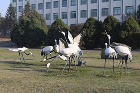 Ⱥ����������