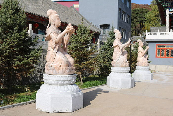 ��Ժ����