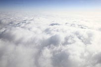 ����е���״�Ʋ�