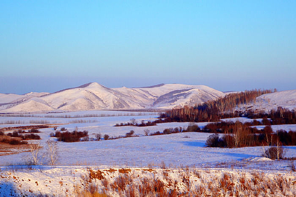 Ϧ���µ�ɽҰѩԭ