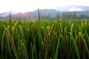 Ѯ���µĵ���