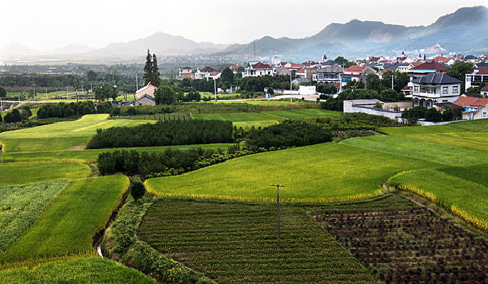 �㽭����������