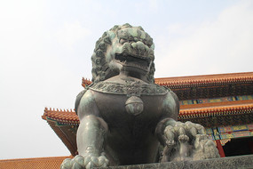 ׯ�ϵ�ʨ�ӵ��