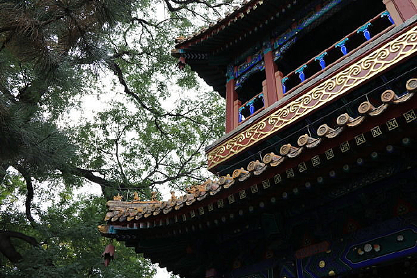 �ŵ�����