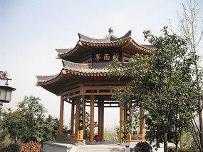 �Ž���������ͤ