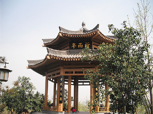 �Ž���������ͤ