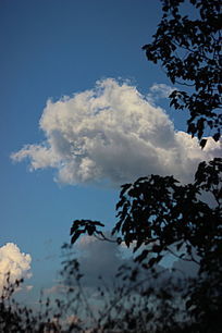 �޻�����