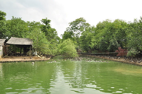 ũ������Ѽ����