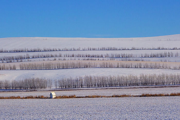 ũ�������ѩ��