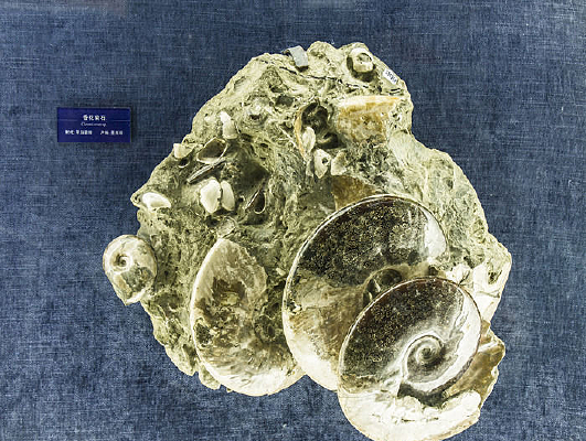 �ջ�����