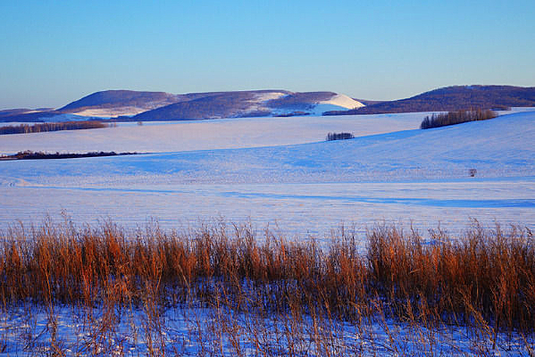 ѩԭ��ѩ���