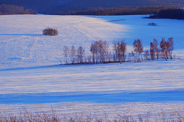 ѩԭ���ֱ�ѩ���