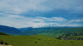 ��ԭ������������