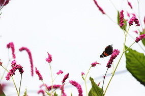 �����ĺ���