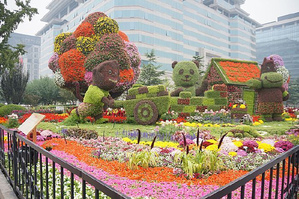 ������ͷ��̳