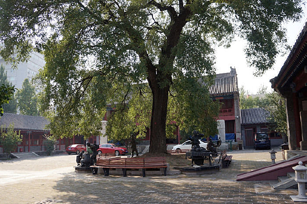 �������ϲ���ݴ�Ժ����