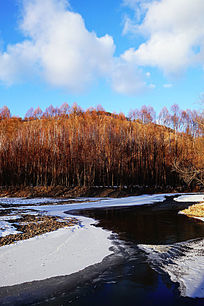 ������������ѩ��