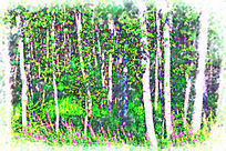 ���Ի�������֮����