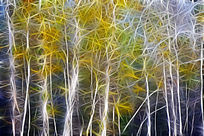 ���Ի����λð����֡�