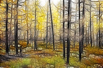 ���Ի������֡�