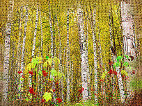 �����ͻ�������֮�