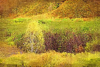 �����ͻ�����Ұ��