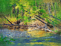 �����ͻ���ɭ����ӡ�