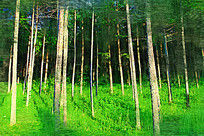 �����ͻ������ַ羰��