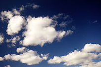 ������Ʒ羰